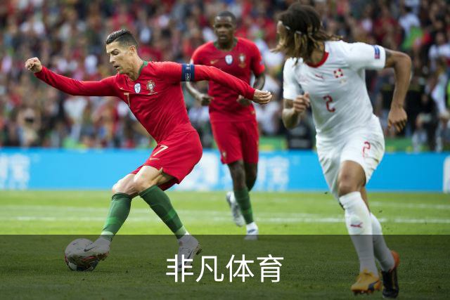 非凡体育公司简介展示图